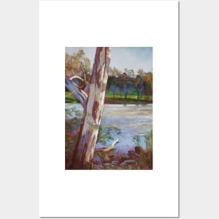 Portrait of a River Gum Posters and Art